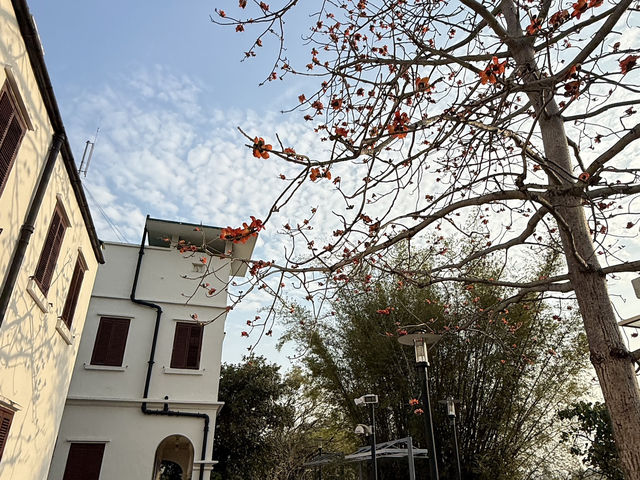 香港深度遊｜屏山鄧族文物館