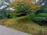 水前寺成趣園夏與冬