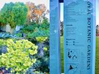 A Walk Through History & Nature in Melbourne: Shrine of Remembrance +Royal Botanic Gardens 
