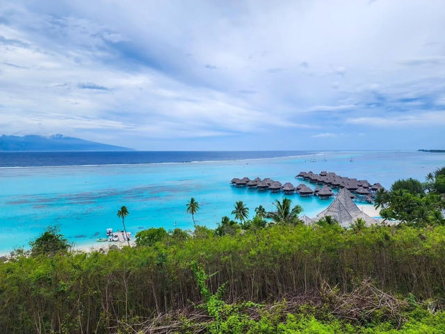 Tropical Paradise and Crystal Waters in Moorea
