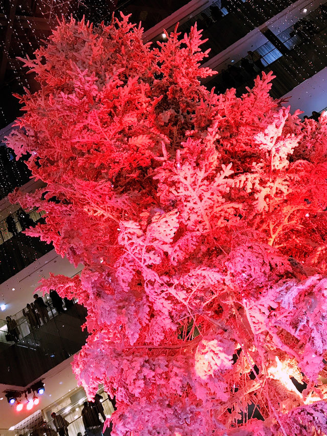 ✨ 丸の内クリスマス記録と2025 予測: 花と光の饗宴からマリオと共に彩る冬へ