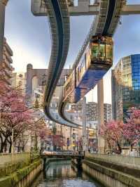 Tokyo is full of picture-perfect moments
