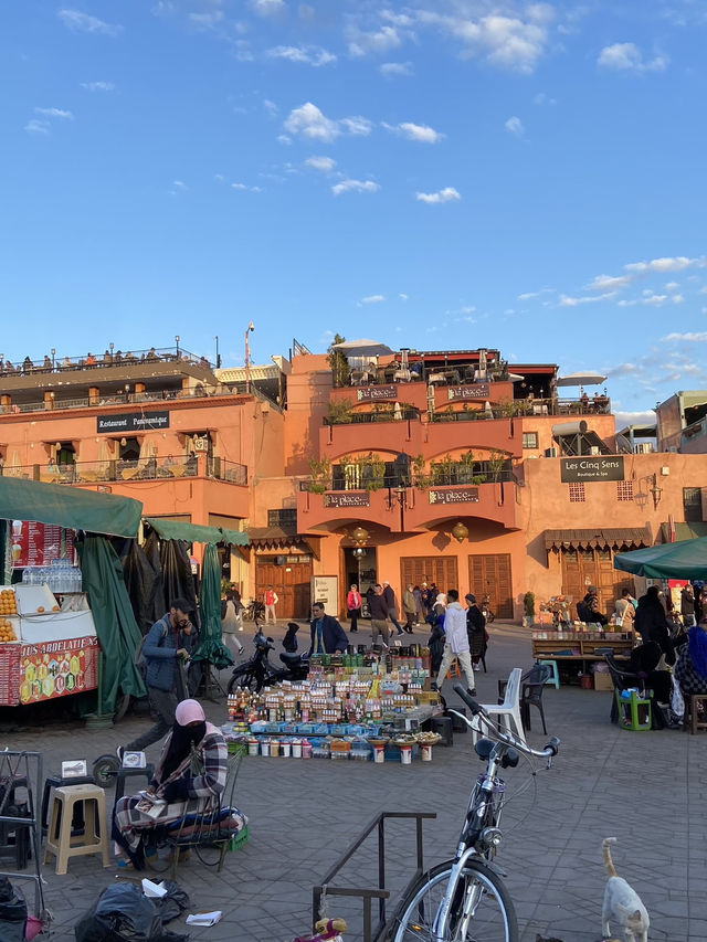 The Red City: The Medina of Marrakech