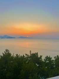 🌅 거제도에서 맞이한 황금빛 일출과 싱싱한 물회