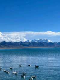 Blue Soul of Tibet: Journey to Namtso Lake