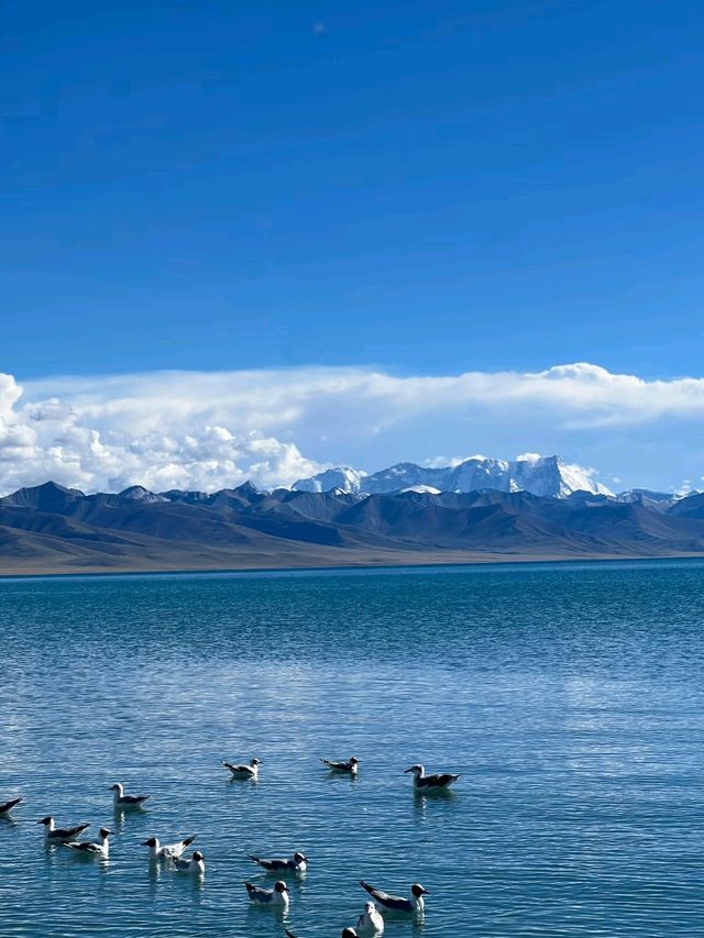 Blue Soul of Tibet: Journey to Namtso Lake
