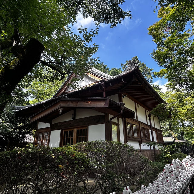 My Solo Pilgrimage to Tokyo's Lucky Cat Kingdom My Solo Pilgrimage to Tokyo's Lucky Cat Kingdom