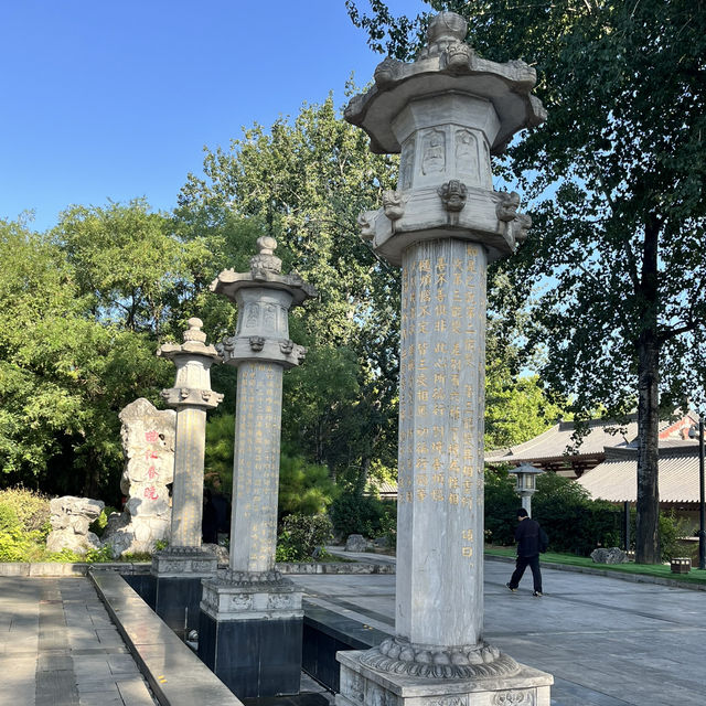 🏛 Da Ci’en Temple Ruins Park 大慈恩寺遗址公园 — Tang Dynasty Echoes in the Modern City