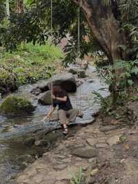 🌿✨ บ้านป่าเหมี้ยง หมู่บ้านเล็ก ๆ ท่ามกลางขุนเขา