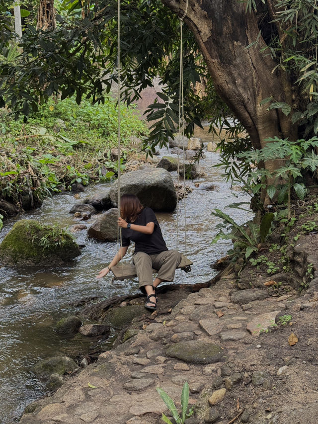 🌿✨ บ้านป่าเหมี้ยง หมู่บ้านเล็ก ๆ ท่ามกลางขุนเขา