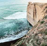お一人向けグレートオーシャンロード（Great Ocean Road）の日帰りツアー比較