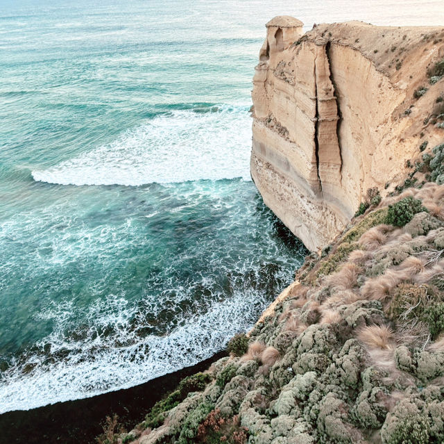 お一人向けグレートオーシャンロード（Great Ocean Road）の日帰りツアー比較