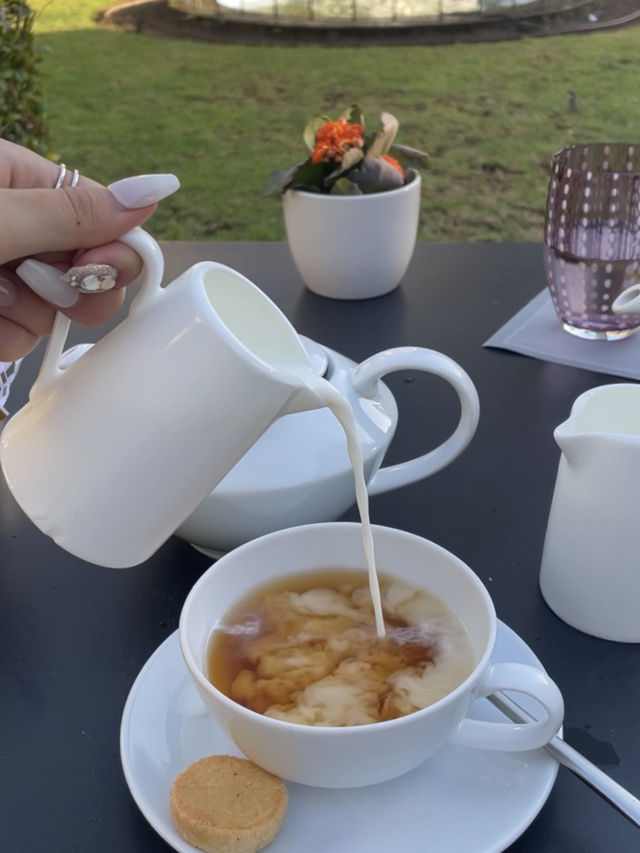 🌸 몰타 팔라초 파리시오 정원에서 즐기는 애프터눈티 ☕🌿