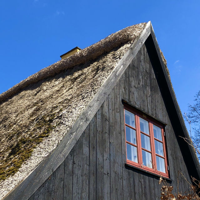 Copenhagen: Vibrant Nordic Charm Unveiled