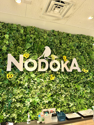 ☕ Kansai International Airport Cafe Lounge NODOKA