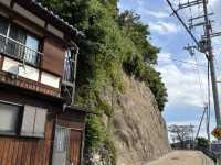 Day Trip to Amanohashidate & Ine Fishing Bay