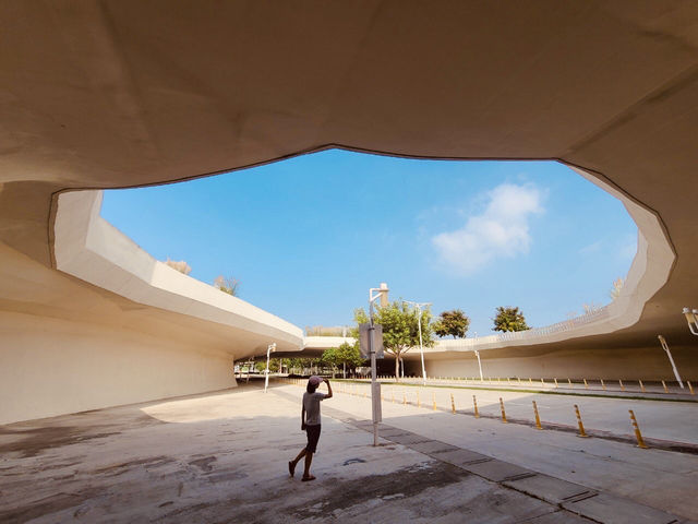 台中~「中央公園」好大大….也好好拍…. 台中~「中央公園」好大大….也好好拍….