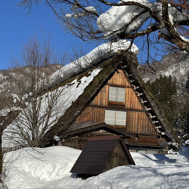 ❄️ ชิราคาวาโกะ หมู่บ้านในฝันกลางหิมะ