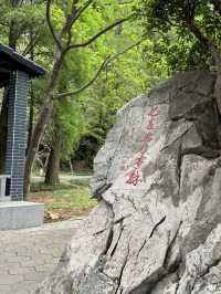 感受神級養肺之旅，在鼎湖深呼吸