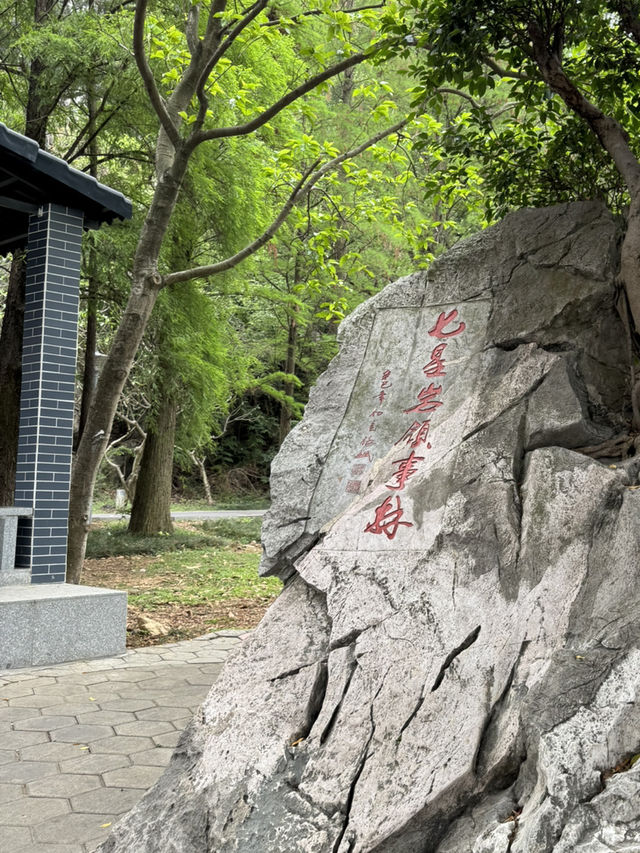 感受神級養肺之旅，在鼎湖深呼吸