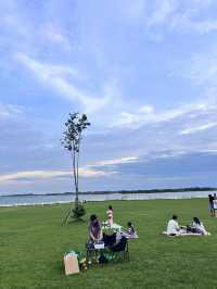 บึงสีเมืองพิจิตร 🌿🐊
