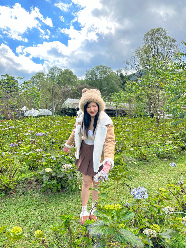 22 AQUARIUS Glamping Cafe