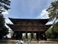 奈良公園
