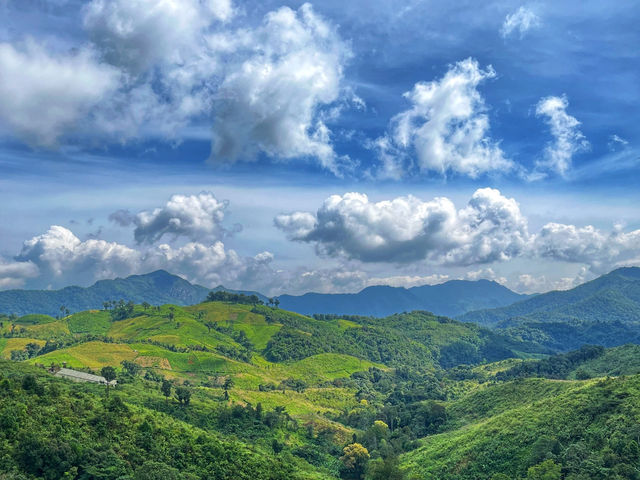 สวนยาหลวง จ.น่าน สวนยาหลวง จ.น่าน