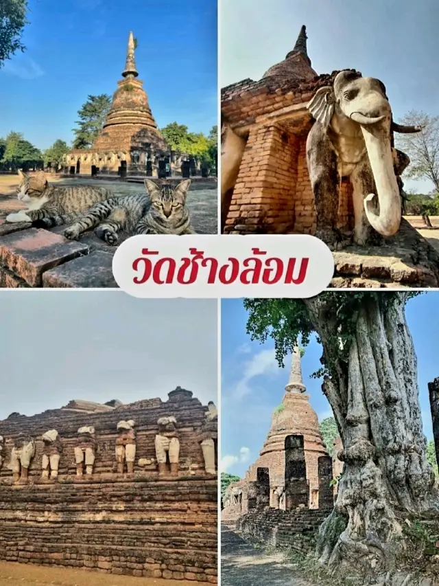 วัดช้างล้อม