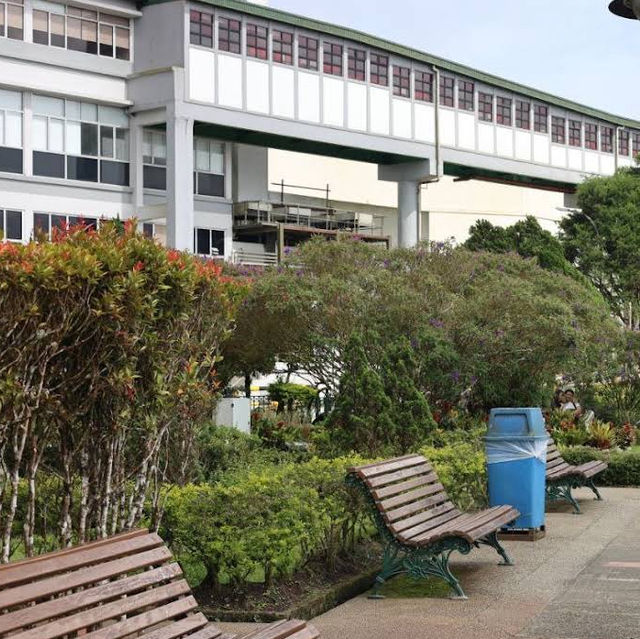 Talking Garden @ SkyAvenue Genting – Whispering Leaves & Interactive Green Spaces