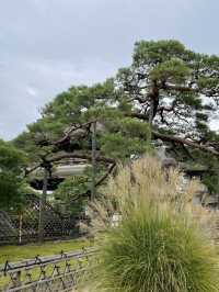 入母屋造の楼門 山門外からの景色が素晴らしい