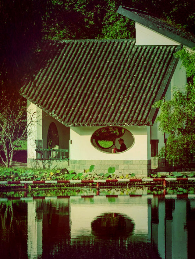 上海🇨🇳共青森林公園
