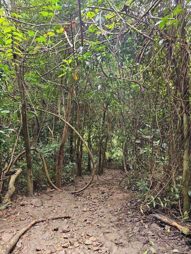 น้ำตกสลัดได | นครนายก น้ำตกสลัดได | นครนายก