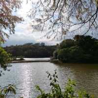 逃離喧囂、滌蕩心塵的絕佳去處!深圳仙湖植物園