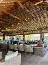 🐬 Oceanfront Lunch Bliss in the Maldives