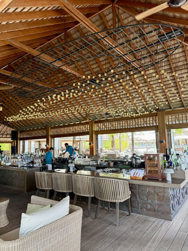 🐬 Oceanfront Lunch Bliss in the Maldives