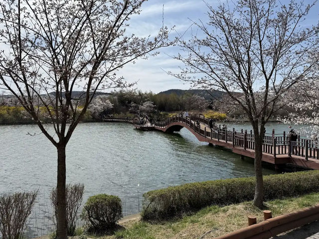 Bomun Lake