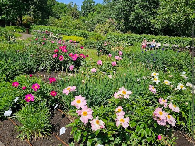 University of Latvia Botanical GardenLatvijas Universitātes Botāniskais dārzs