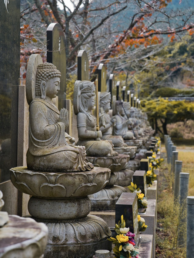 【旅行前に見て】観光攻略付‼️藤の花だけじゃない!💜🍁✨古刹を彩る美しい紅葉の庭園を楽しむ静寂の旅へ🙏 【旅行前に見て】観光攻略付‼️藤の花だけじゃない!💜🍁✨古刹を彩る美しい紅葉の庭園を楽しむ静寂の旅へ🙏