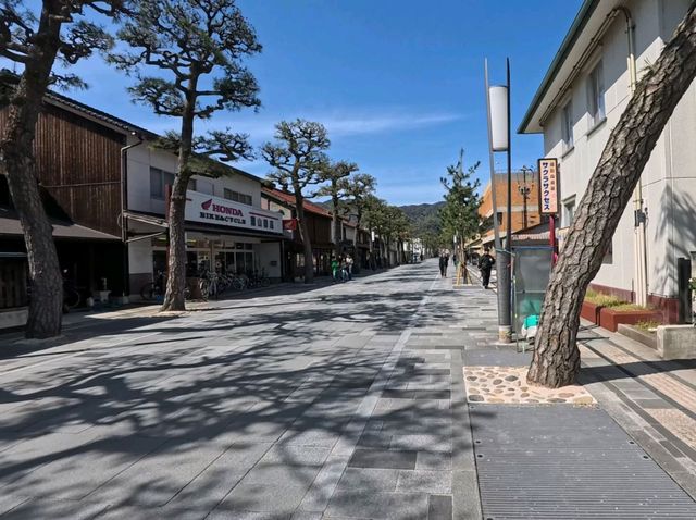 出雲大社（島根県出雲市）