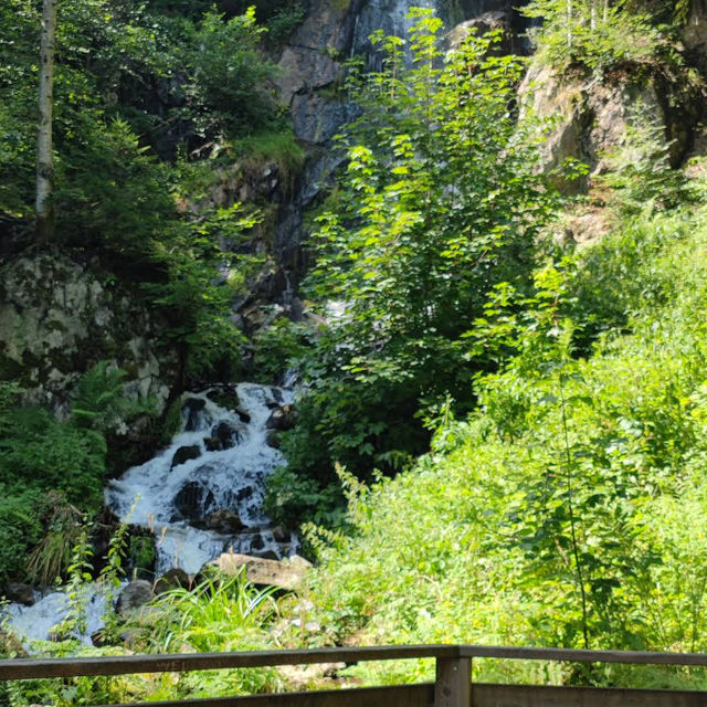 Cascade du Hohwald – The Hidden Gem of the Alsatian Forests