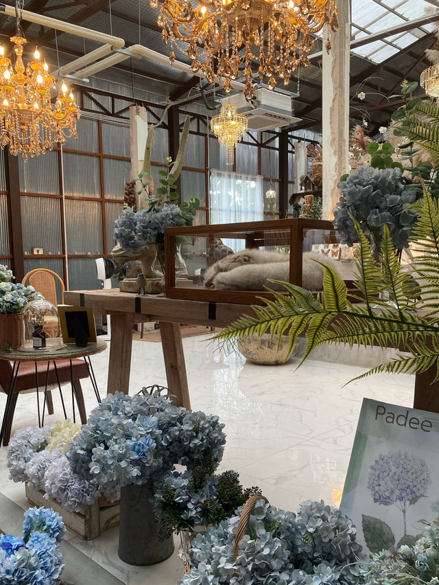 ปาฎี คาเฟ่ (Padee Cafe) คาเฟ่น่ารักในระยอง