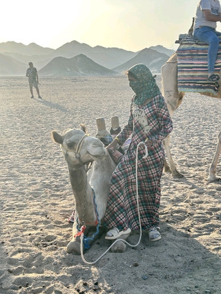 🏜️Visit the isolated Bedouin village by car in the Sahara Desert⛺