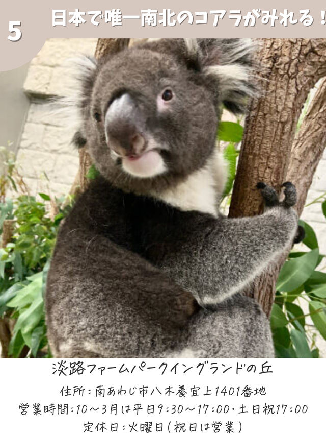 【兵庫】秋に行きたいスポット7選