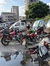 เดินตลาด Huaqing Agricultural Products Market