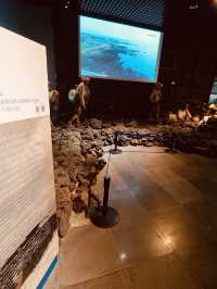 Essential Context for the Jeju Identity