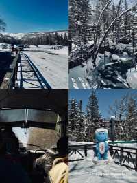 Changbai Mountian Northern Slope 🏔️❄️⛄️