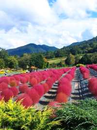 蒜山香草樂園