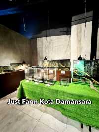 Charming Creatures at Just Farm, Kota Damansara