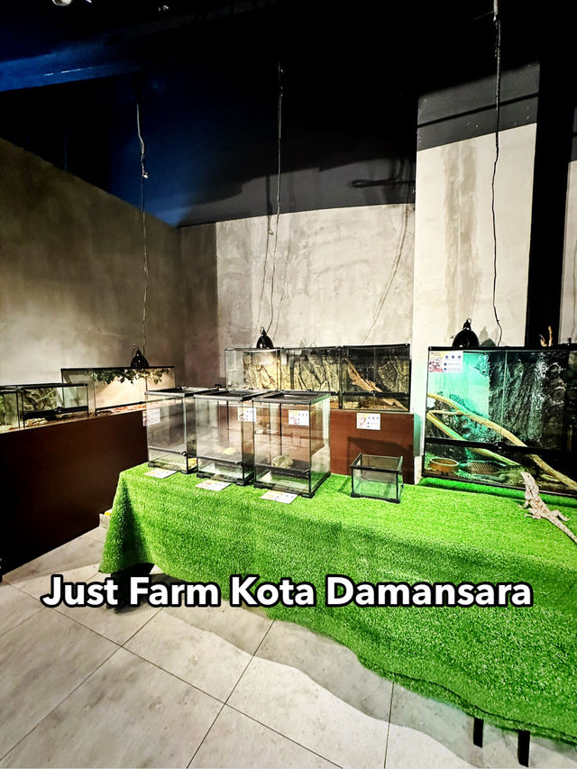 Charming Creatures at Just Farm, Kota Damansara Charming Creatures at Just Farm, Kota Damansara